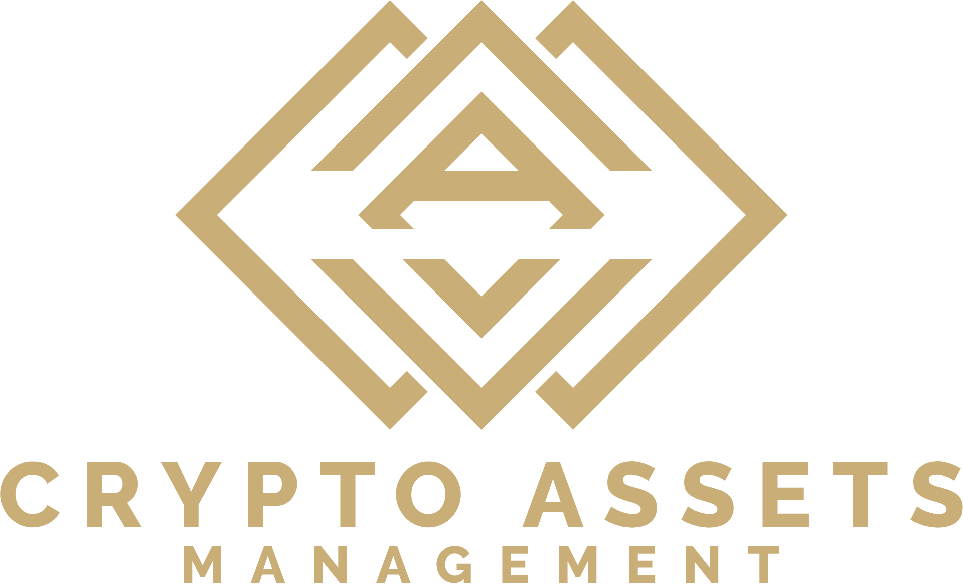 MEREAU FINANCE SAS logo from crypto-assets-management.com